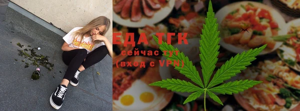 прущие грибы Вязники