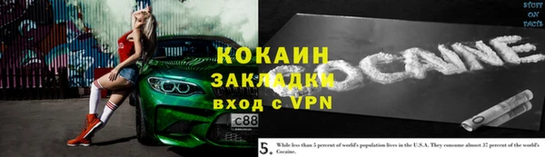 ПСИЛОЦИБИНОВЫЕ ГРИБЫ Горно-Алтайск