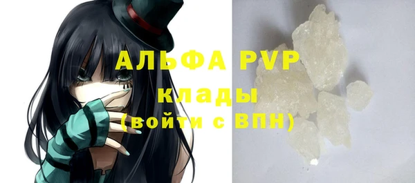 ПСИЛОЦИБИНОВЫЕ ГРИБЫ Горно-Алтайск