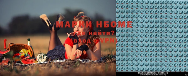 прущие грибы Вязники