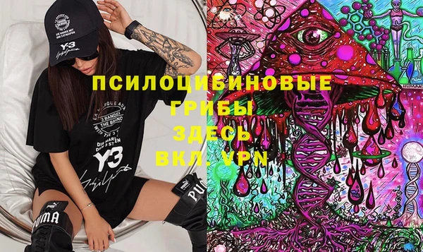 ПСИЛОЦИБИНОВЫЕ ГРИБЫ Горно-Алтайск