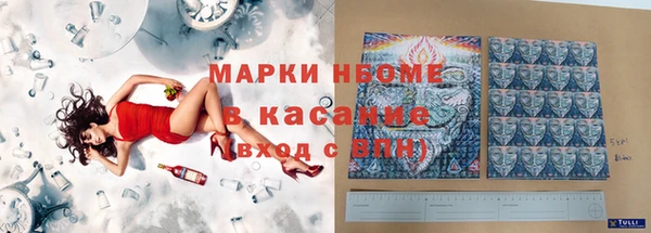 ПСИЛОЦИБИНОВЫЕ ГРИБЫ Горно-Алтайск