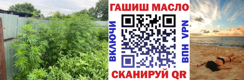 ТГК жижа  где найти   Макаров 