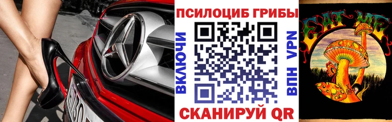 Псилоцибиновые грибы Psilocybine cubensis  Макаров 